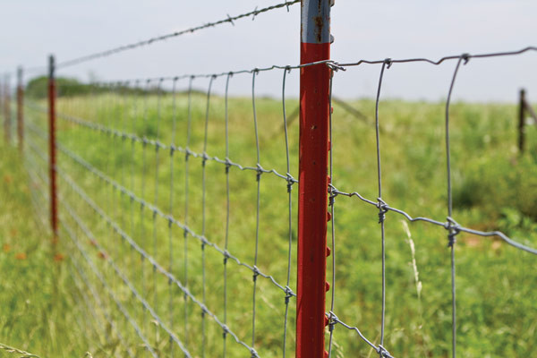 Galvanized Wire Mesh Fence Field 164ft Zoo Wild Fencing Roll Hardware