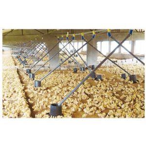 Duck Goose Feeding And Poultry Drinking System Plastic