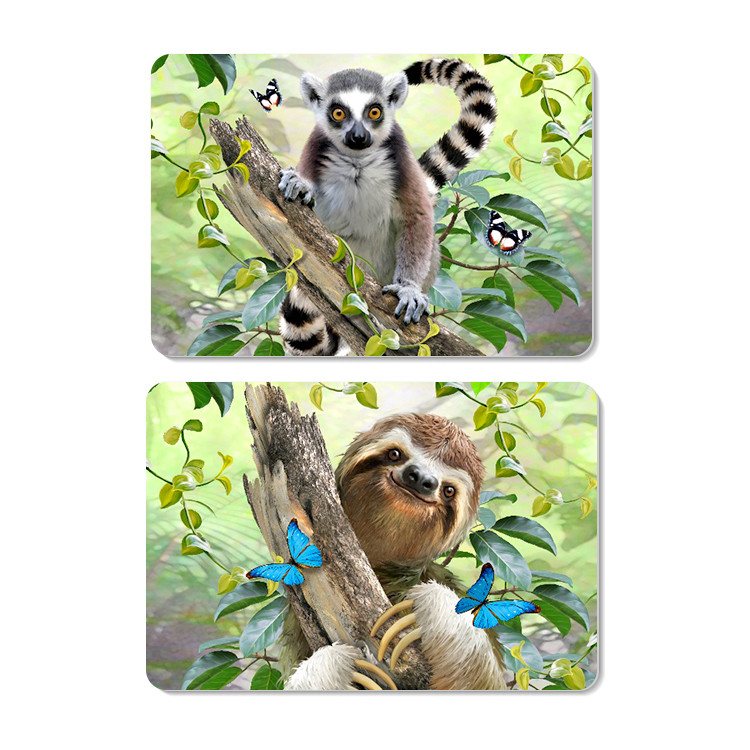 Plastic Colorful 3d Printing Place Mat Lenticular Flip For Kitchen Table