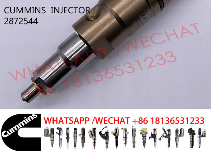 2872544 Diesel Common Rail Fuel Injector 4955080 2872289 2872284 For SCANIA