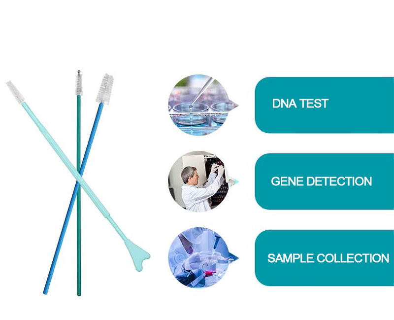 OEM Sterile Oropharyngeal Disposable Sampling Swab