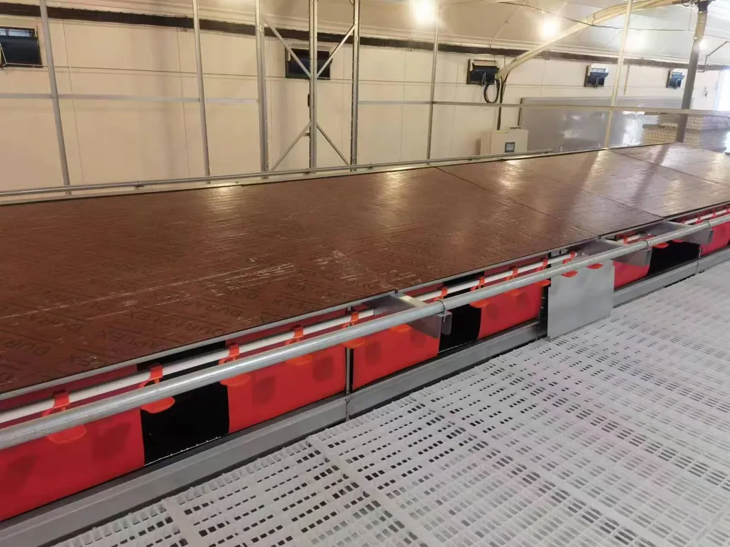 Automatic poultry farming laying box system overview