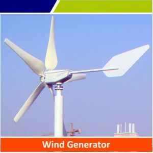  High quality 300w wind turbine with competitive price for cheap sale, OEM is available Manufactures