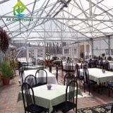 Commercial Single Span Venlo Type PC Sheet Greenhouse Impact Resistant