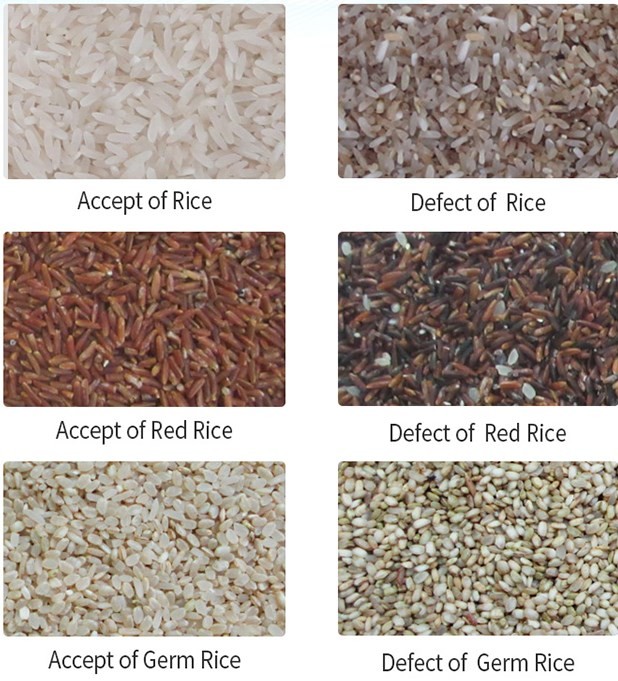 Manufacturer Flax Seed Sorting Machine Sesame Seeds Color Sorter Agricultural Equipment