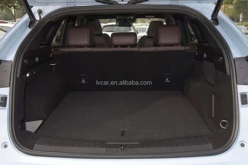 Efficiency Never Looked This Good Wei Mocha Hybrid Electric SUV with 2915 Wheel Base