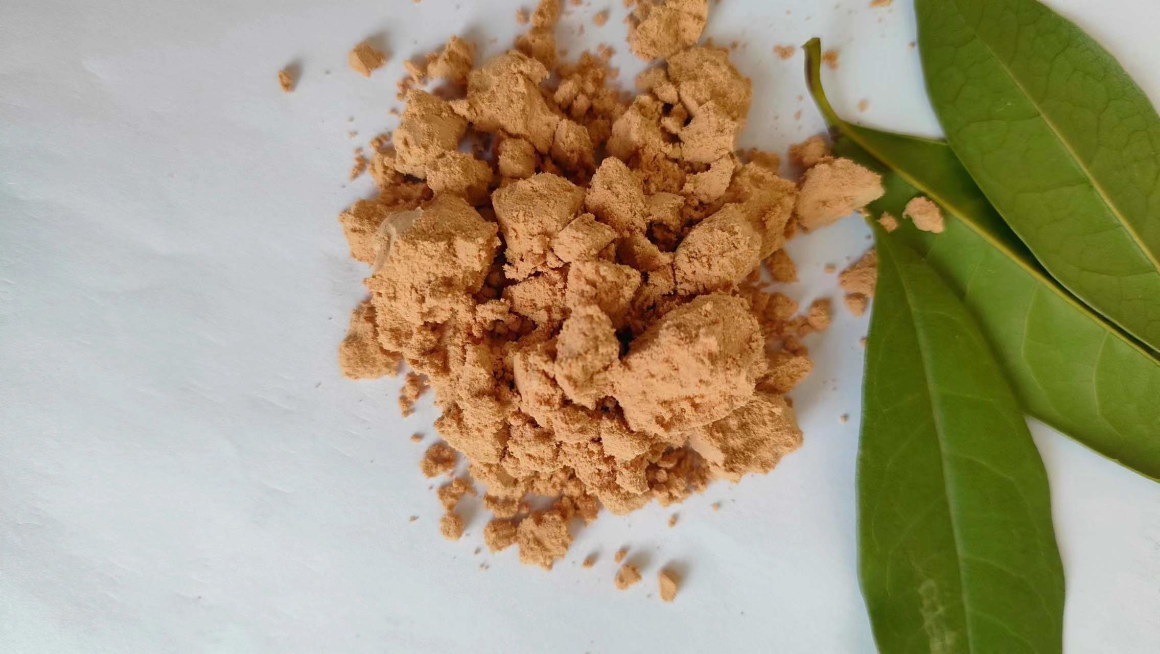 Piglet Animal Feed Protein Pale Yellow Chicken Blood Meal Powder