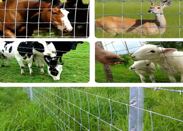 Hinge Joint Fence With Free Samples 50m-100m Length And 3ft - 8ft Height