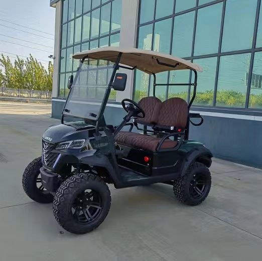 New Off Road 2 Seaters Golf Cart CE Certificated 60V 100Ah Lead-Acid Battery