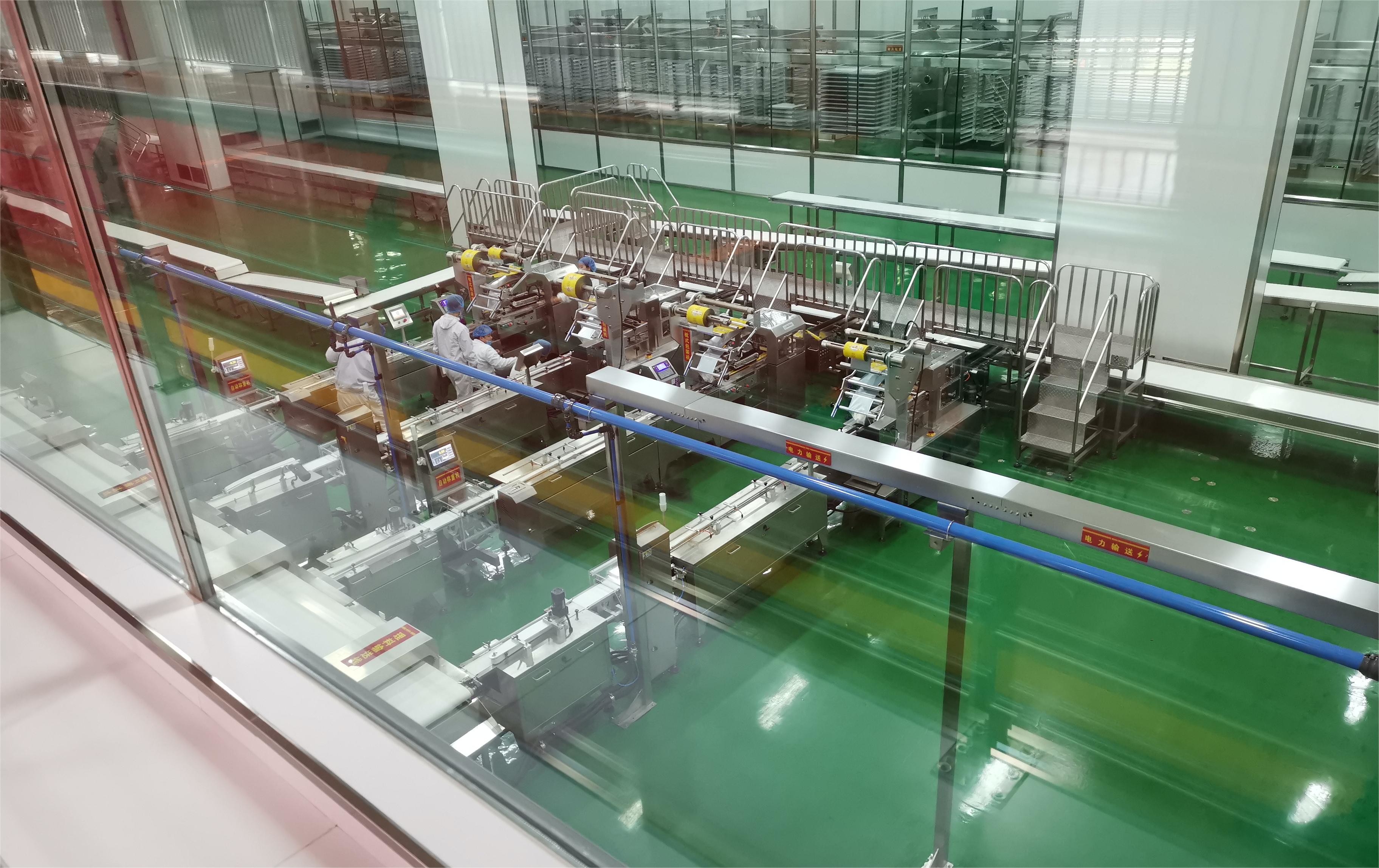 Industrial Food Packaging Machine Fully Automatic Snack Packaging Line