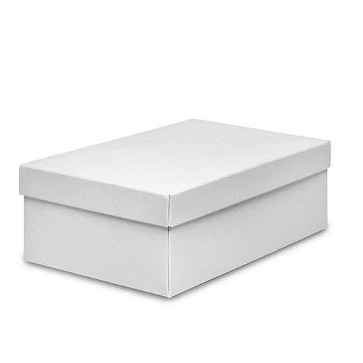 Luxury Shoe Packing Corrugated Paper Box , Customized Printed Foldable Paper Box