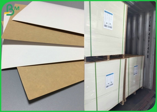 200gram to 365gram 1 side White Kraft Liner coated Board 31inch 35inch 