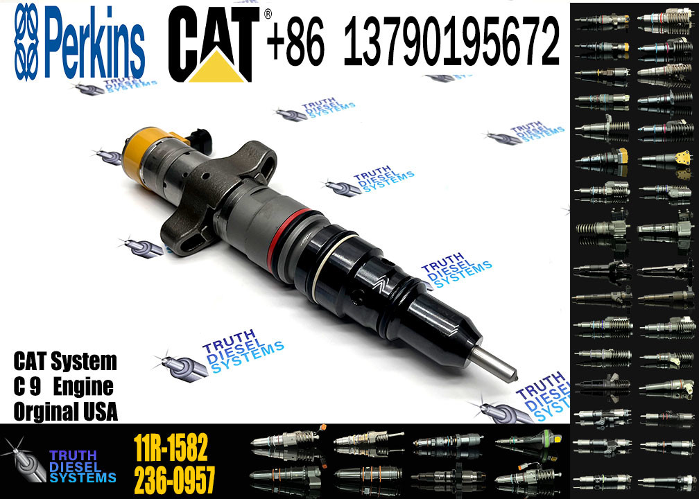 Common Rail Injector Assy 387-9431 387-9439 557-7634 293-4071 10R-7222 10R-4764 577-7633 20R-8064 20R-8846 11R-1582