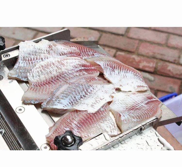 Stainless Steel Tilapia Fish Processing Machine Gutting Killing Gutting Cleaning