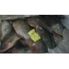 Buy cheap Frozen Tilapia Whole Round Size 300-500 from wholesalers