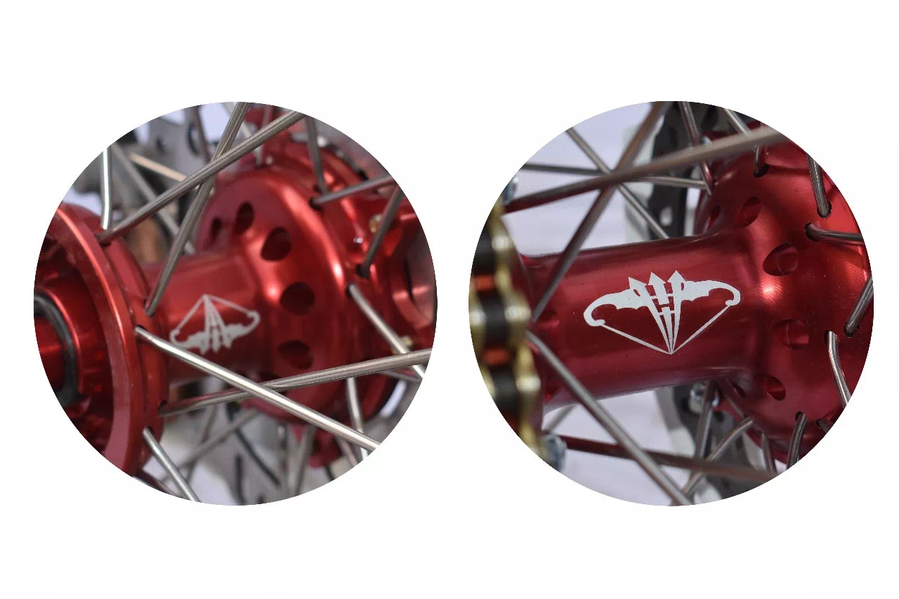 Double disc brakes with powerful engine racing Dirt bike 300cc