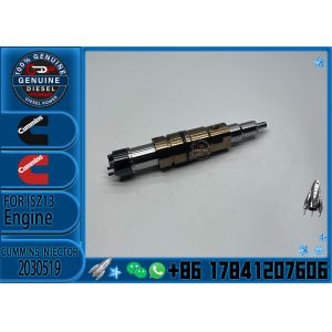 Original Common Rail Fuel Injector 0445120196 10117168 10490018 for Liebherr
