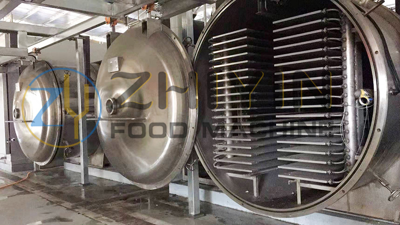 100kg/H Fruit Vegetable Drying Machine Vacuum Freeze Drying Equipment