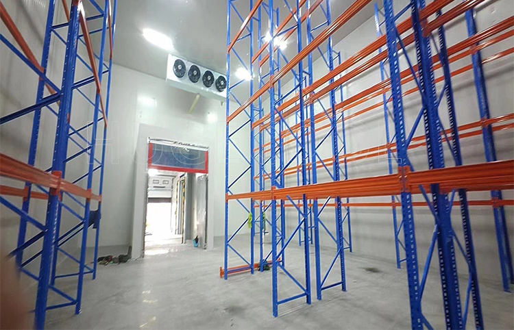 Freezer Room/Cool Room/Cold Storage Room Meat Storage Freezer Cold Room