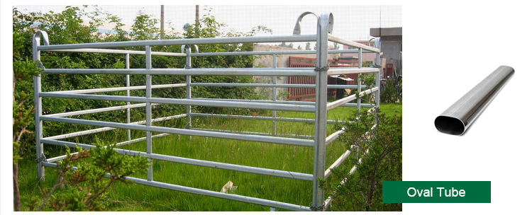 Welded Netting Manufacture Supplier 2x2 Galvanized Cattle Welded Wire Mesh Panel