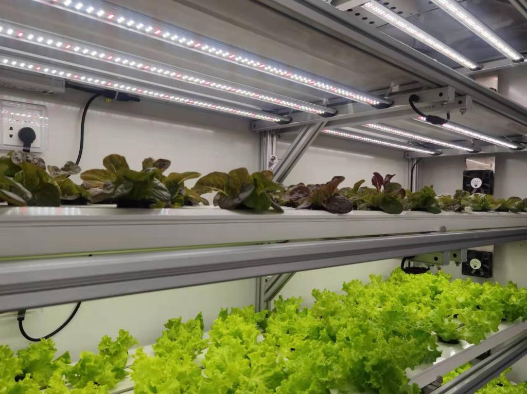 Vertical Farming Container Greenhouse with Hydroponic Features