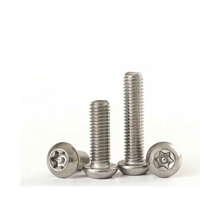 Anti-Theft Torx Pin Screw Made of SS304 Steel for Maximum Protection and Customized