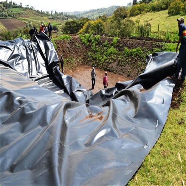 Smooth Pond Liner HDPE Geomembrane 1mm for Fish Farming in Environmental Applications
