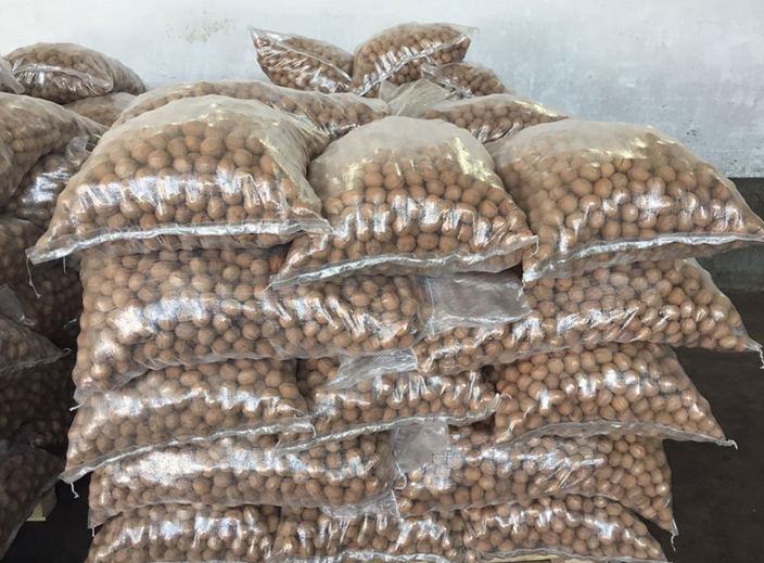 Factory 1kg Walnuts Price Walnut Halves Wholesale China Top Thin Raw Amber 25kg/bag Packaging Raw Dried Walnut Kernel Dried Nuts