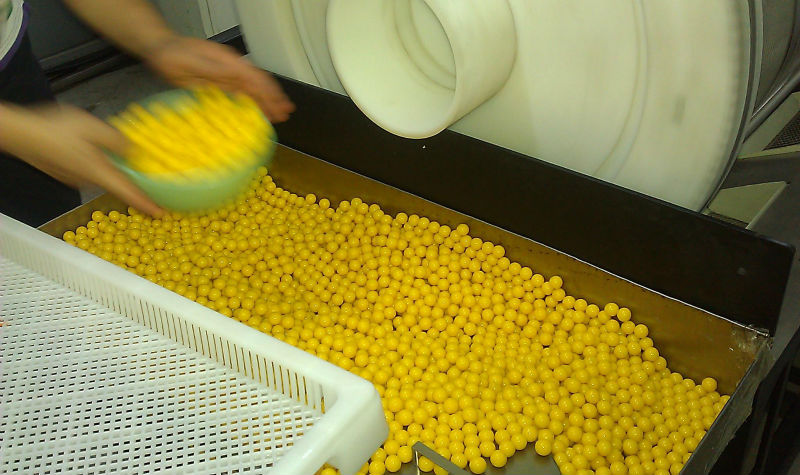 Food Grade Plastic tray and trolly with size 750*550*45 for drying in discoult