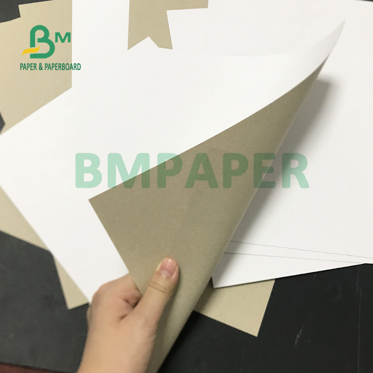 79cm X 109cm 500gsm Coated Duplex Board For Wallcharts Good Printable 