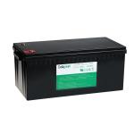 E Car 12.8V 100Ah Lithium Ion Deep Cycle Battery
