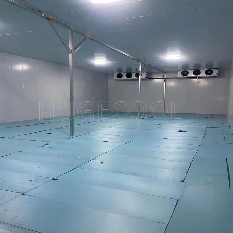 Large Freezer Cold Room For Vegetable Portable Refrigeration Unit
