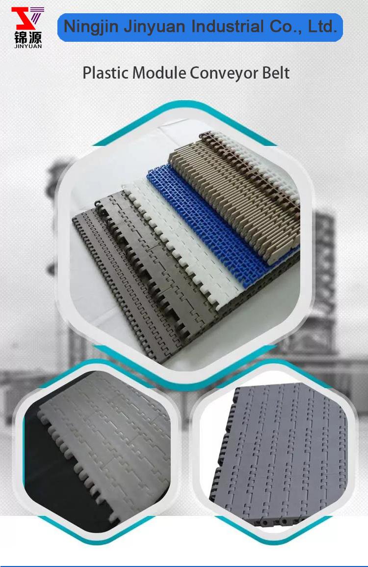 Easy-to-Clean Plastic Conveyor Belt Low Cost for Meat/Poultry Vegetables