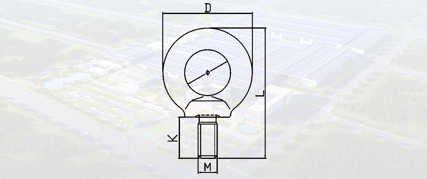 SLRO54-G80 EYE SCREW