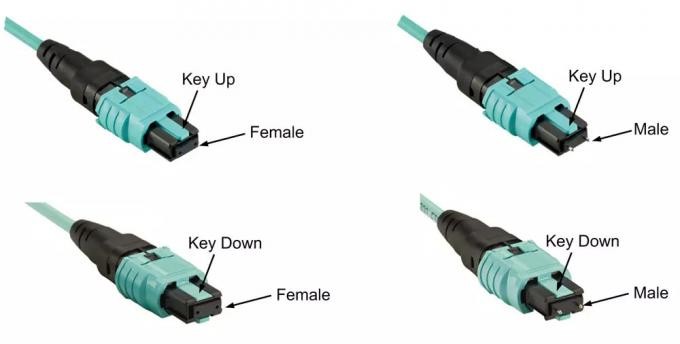 Mutimode SM MM MPO MTP Cables OM3 72 Fiber