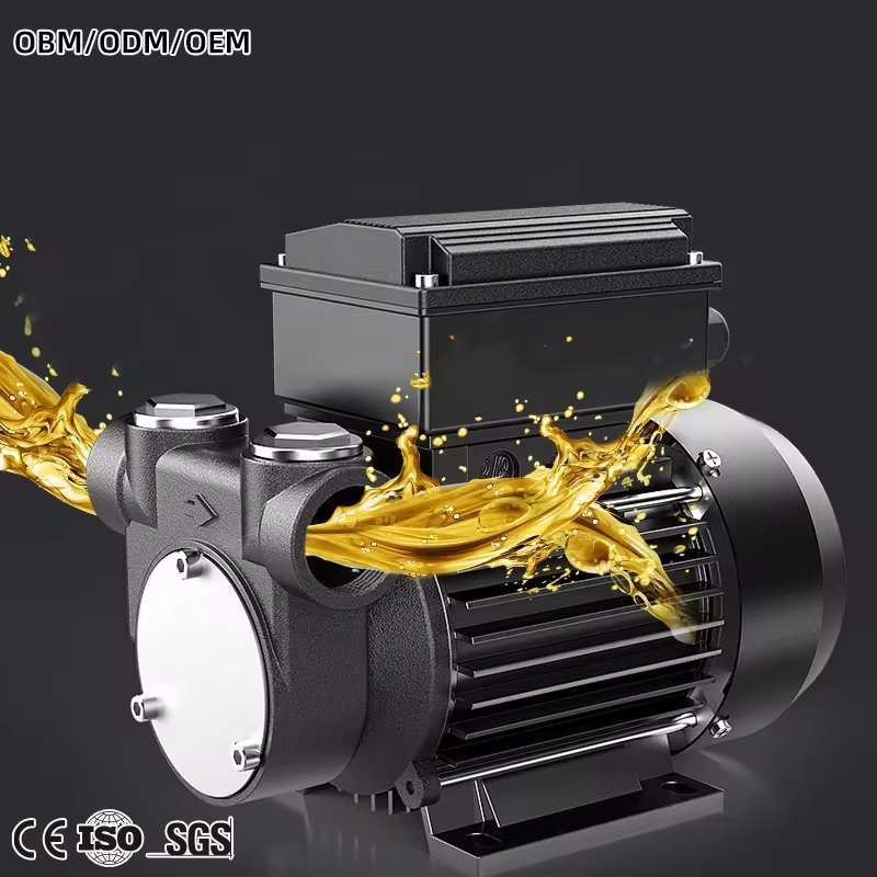 High Flow Compact Size 220 Volt 60L/min Electric Oil Portable Diesel Fuel Transfer Pump