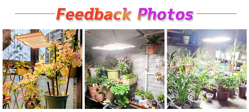 150W 65 Watt Plant Light Growth Phyto Lamp For Greenhouse Plants