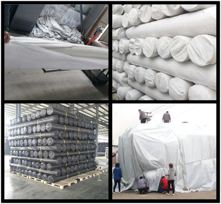 HDPE Greening System 3D Composite Drainage Geonet for Railways Highways