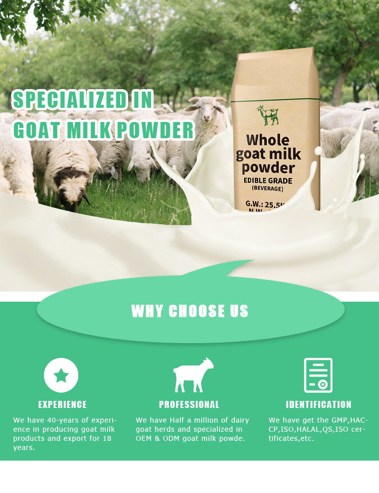 HALAL Standard Goat Milk Protein Powder Rich A2 Beta Casein Protein