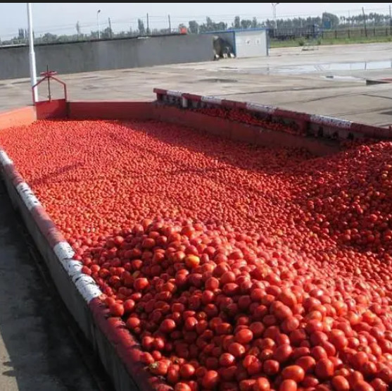 10ml - 220L Jam Paste Sauce Processing Line With PLC Control System