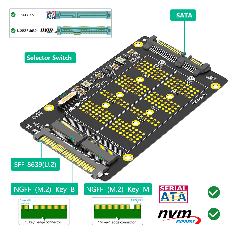 New Version 2 in 1 Combo M.2(NGFF) NVME PCI-E SSD to U.2 SFF-8639 ＆M.2( NGFF) SATA SSD to SATA Adapter