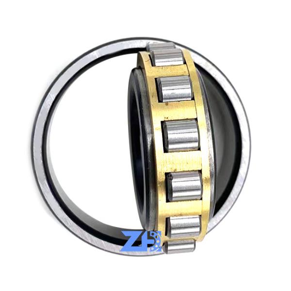 RN206ECM Cylindrical Roller Bearing 30*55.5*16mm hard-wearing single row