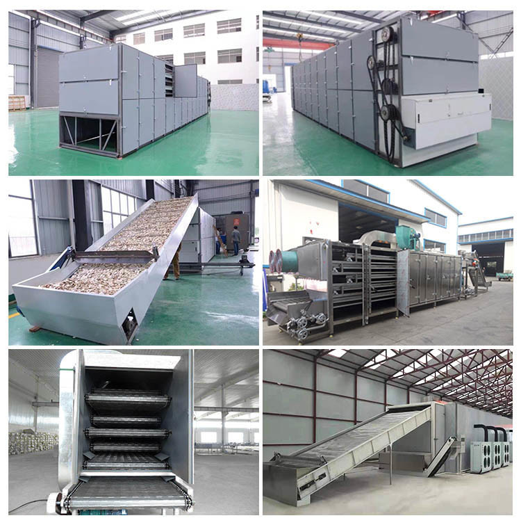 Electric Heat Rose Cassava Belt Dryer Machine Stainless Steel OEM