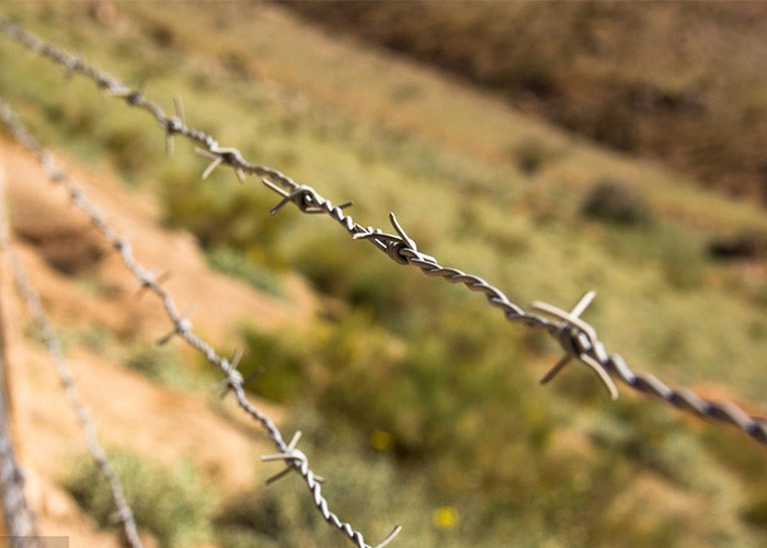 Garden Anti-Theft Anti Climb Double Strand Reverse Twist Barbed Wire
