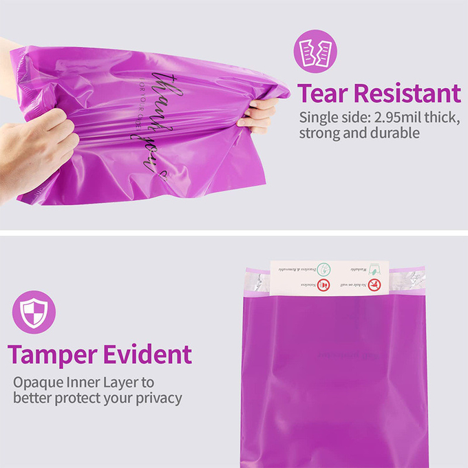 Self Adhesive PE Biodegradable Mail Package Bag Custom Shipping Bags