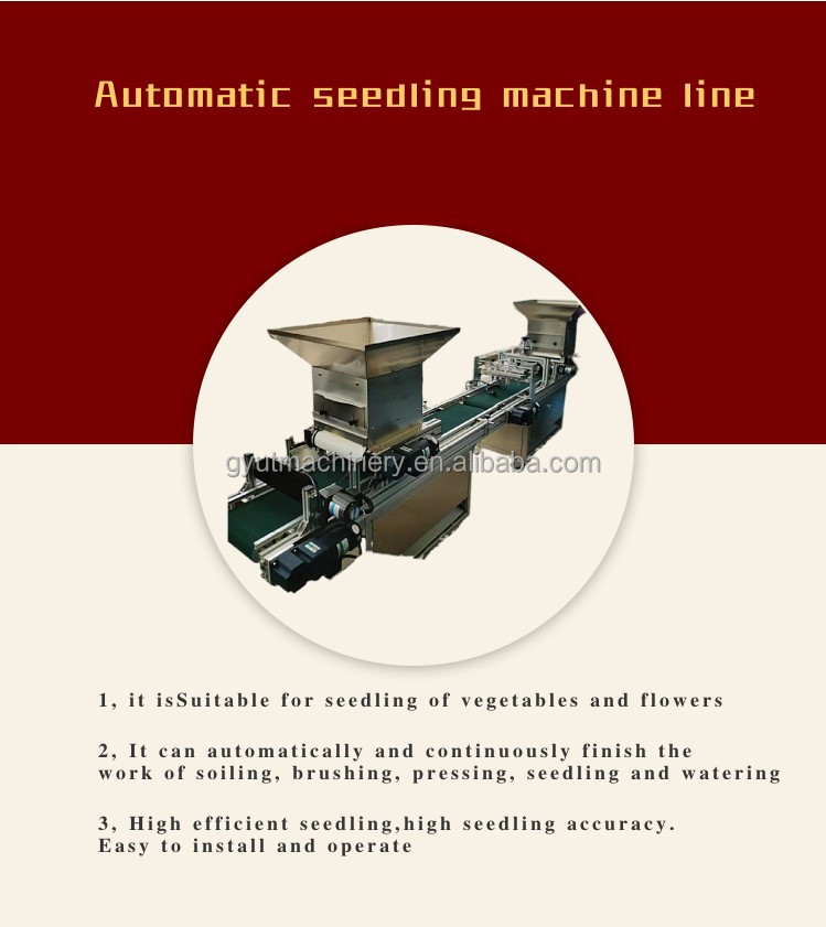 7 Rows Vegetable Tray Seeding Machine for Good Economic Benefits and Easy Operation