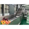 Buy cheap Water Saving Fruit Processing Line Apricot Juice Concentration Safety Control from wholesalers