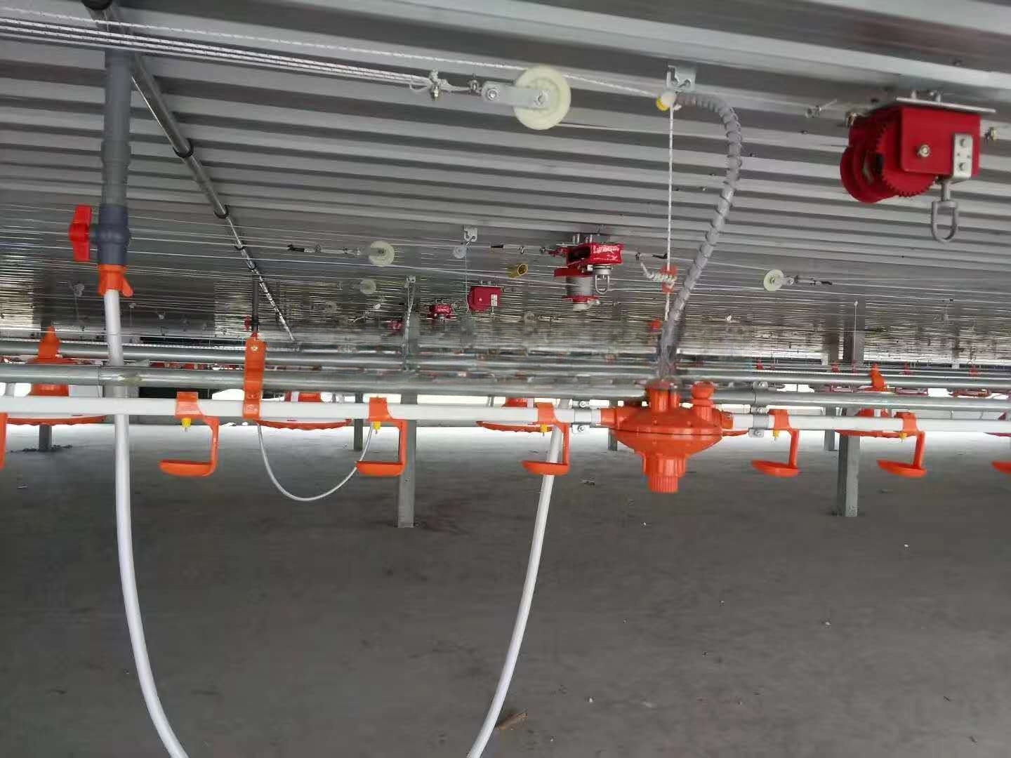 New Type Poultry Feeder Pan Automatic Broiler Pan Feeding Line System Equipment