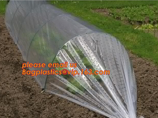 Multi-Span Plastic Film Cover Natural Ventilation Vegetable Greenhouse,Greenhouse Kits Plastic Greenhouse 200 micron gre