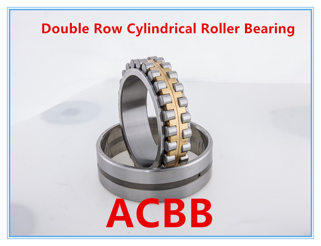 NN3020 K P4 W33 Double Row Cylindrical Roller Bearing
